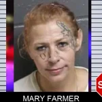 Mary Farmer mugshot – Bacon County , Georgia Mary Farmer mugshot