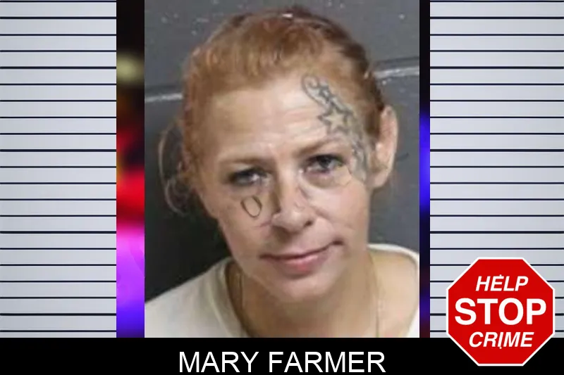 Mary Farmer mugshot – Bacon County , Georgia Mary Farmer mugshot