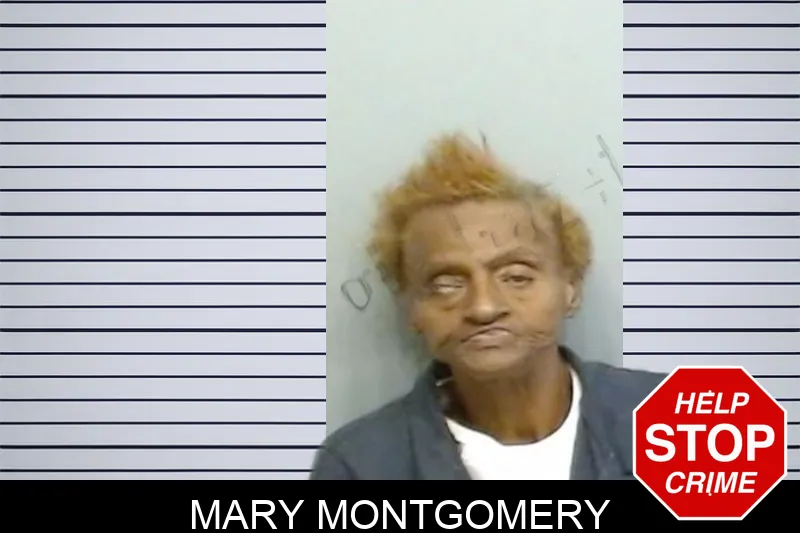 Mary Montgomery mugshot – Fulton County , Georgia Mary Montgomery mugshot
