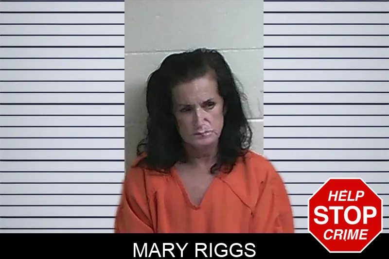 Mary Riggs mugshot – Fannin County , Georgia Mary Riggs mugshot