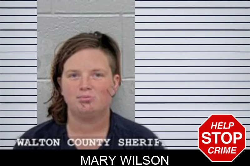 Mary Wilson mugshot – Walton County , Georgia Mary Wilson mugshot