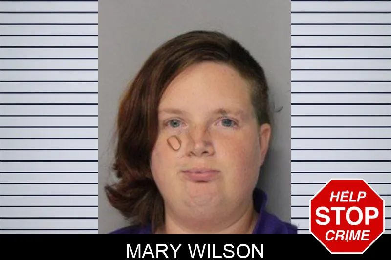 Mary Wilson mugshot – Hall County , Georgia Mary Wilson mugshot