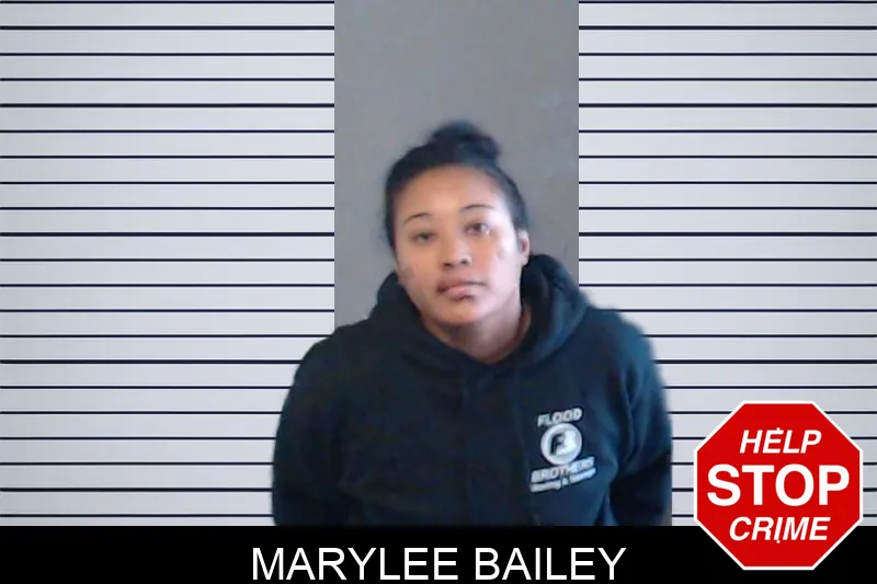 Marylee Bailey mugshot – DeKalb County , Georgia Marylee Bailey mugshot