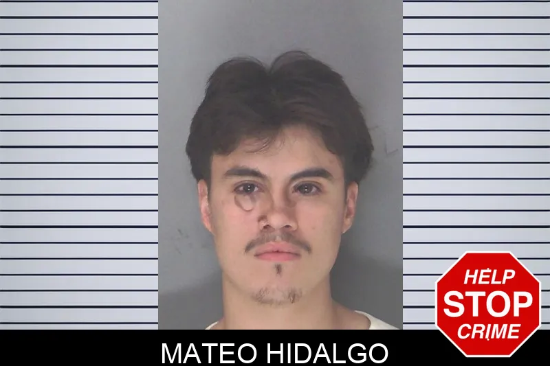 Mateo Hidalgo mugshot – Douglas County , Georgia Mateo Hidalgo mugshot