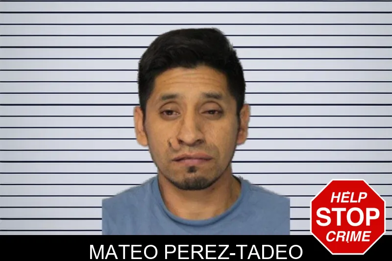 Mateo Perez-Tadeo mugshot – Hall County , Georgia Mateo Perez-Tadeo mugshot