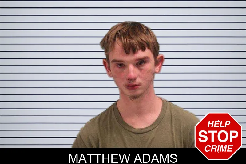 Matthew Adams mugshot