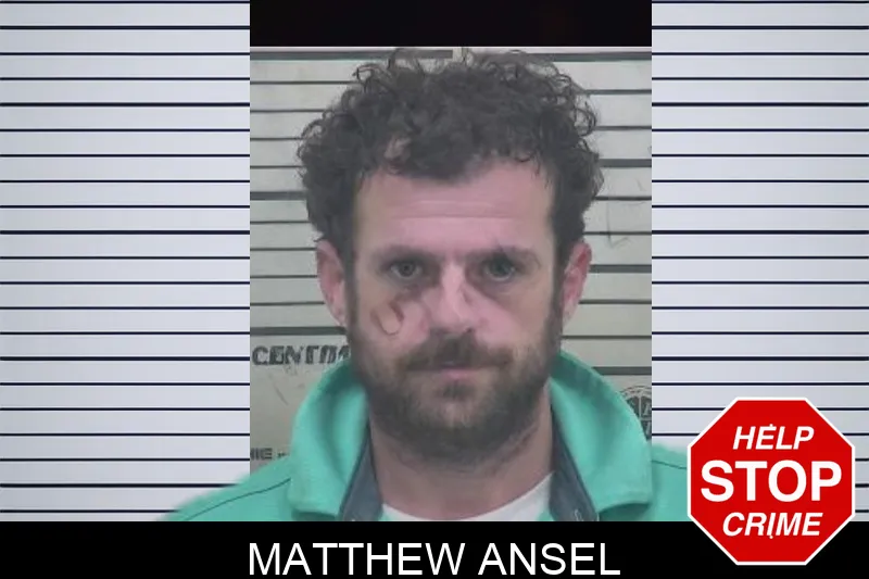 Matthew Ansel mugshot