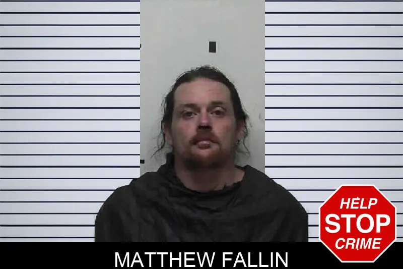Matthew Fallin mugshot – Pike County , Georgia Matthew Fallin mugshot