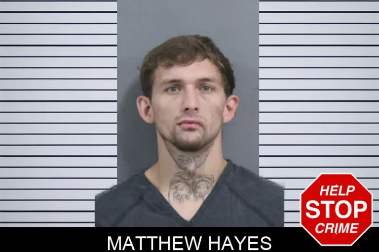 Matthew Hayes