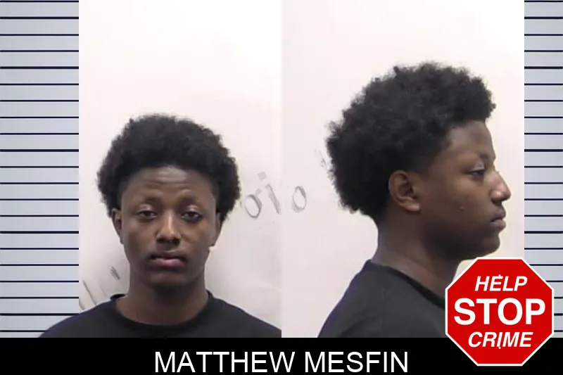 Matthew Mesfin mugshot