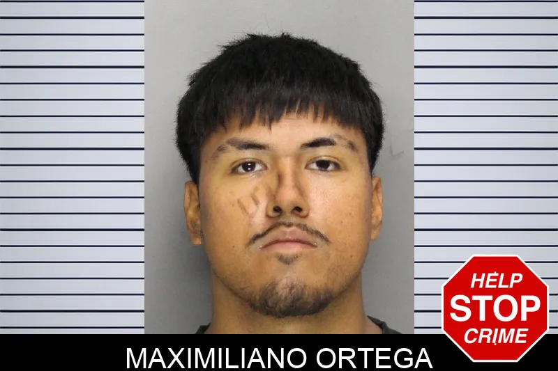 Maximiliano Ortega mugshot – Cobb County , Georgia Maximiliano Ortega mugshot