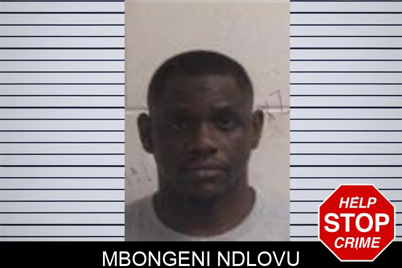 Mbongeni Ndlovu mugshot