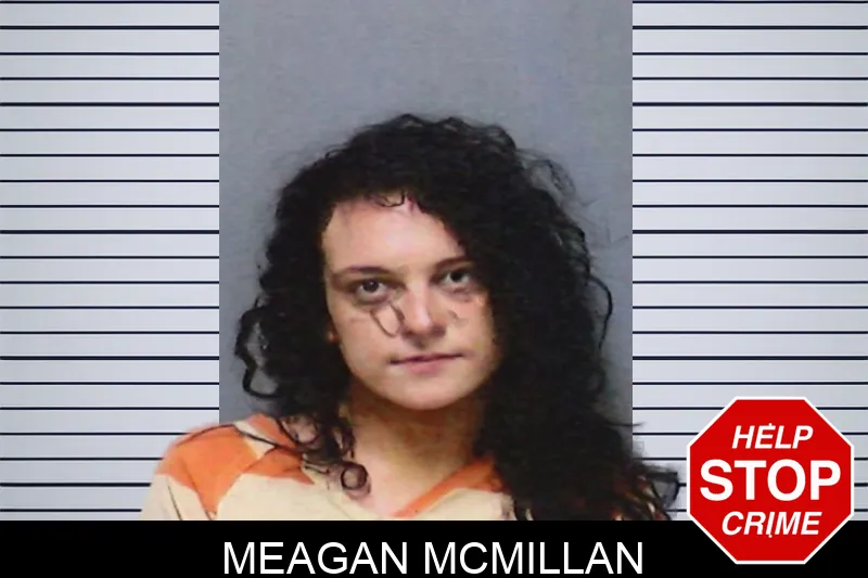 Meagan McMillan mugshot – White County , Georgia Meagan McMillan mugshot