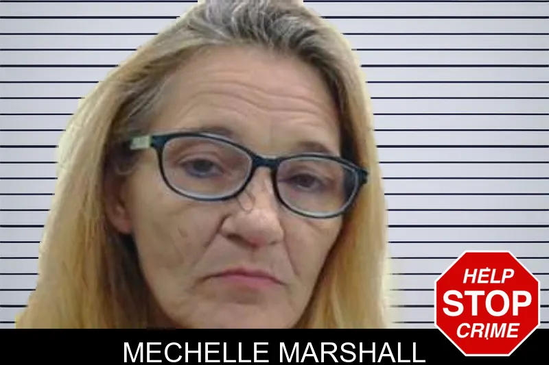 Mechelle Marshall mugshot – Peach County , Georgia Mechelle Marshall mugshot