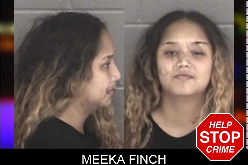 Meeka Finch mugshot – Barrow County , Georgia Meeka Finch mugshot