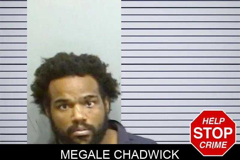 Megale Chadwick mugshot – Fulton County , Georgia Megale Chadwick mugshot