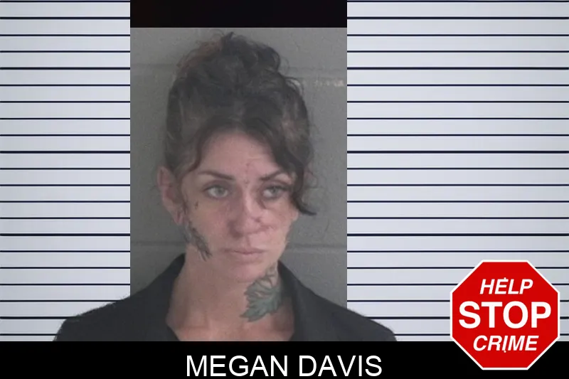 Megan Davis mugshot