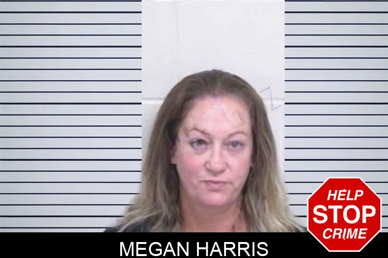 Megan Harris mugshot