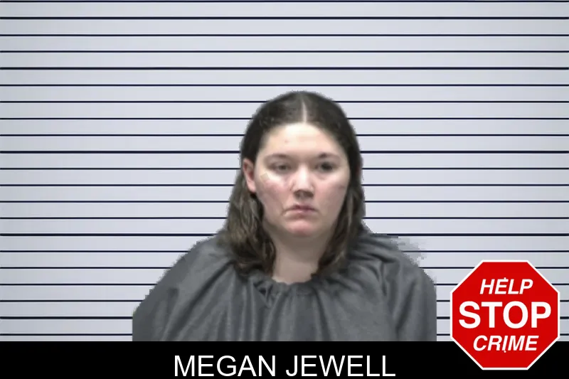 Megan Jewell mugshot