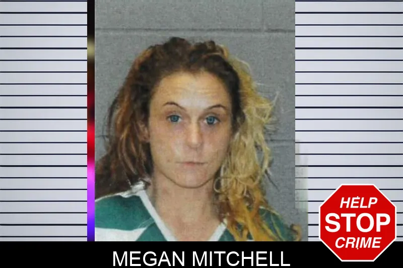 Megan Mitchell mugshot