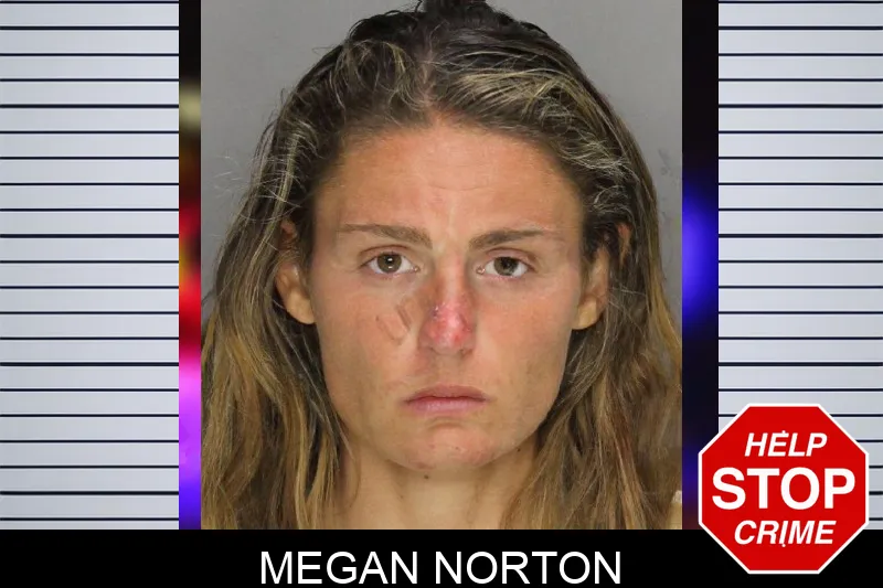 Megan Norton mugshot – Cobb County , Georgia Megan Norton mugshot