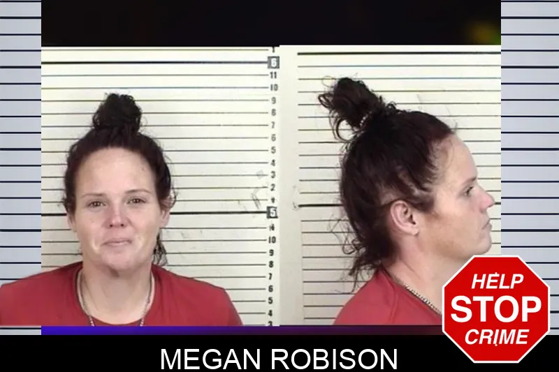 Megan Robison mugshot – Camden County , Georgia Megan Robison mugshot