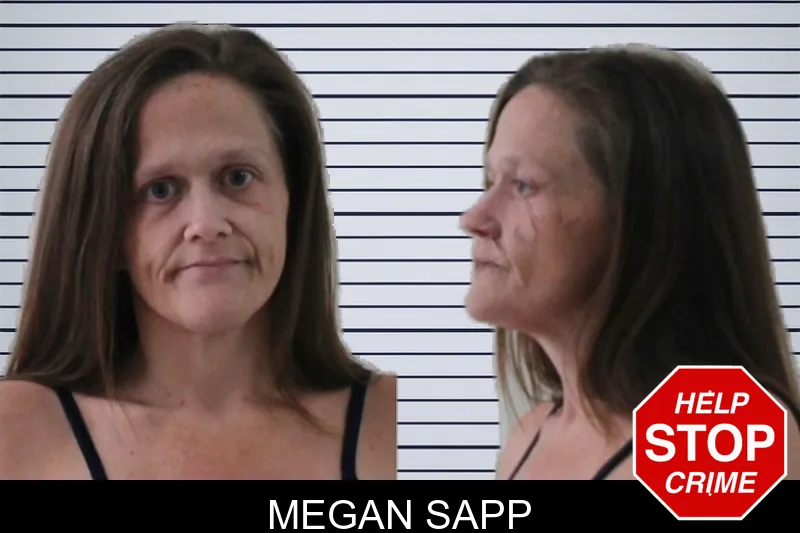 Megan Sapp mugshot – Houston County , Georgia Megan Sapp mugshot