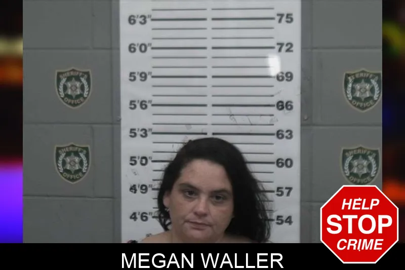 Megan Waller mugshot – Sumter County , Georgia Megan Waller mugshot