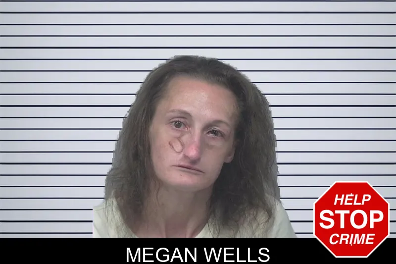 Megan Wells mugshot – Gwinnett County , Georgia Megan Wells mugshot