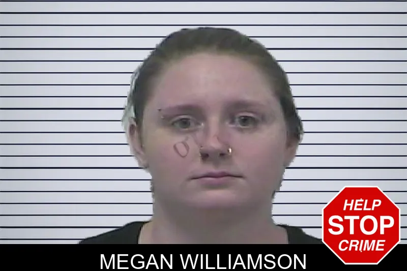 Megan Williamson mugshot – Dawson County , Georgia Megan Williamson mugshot