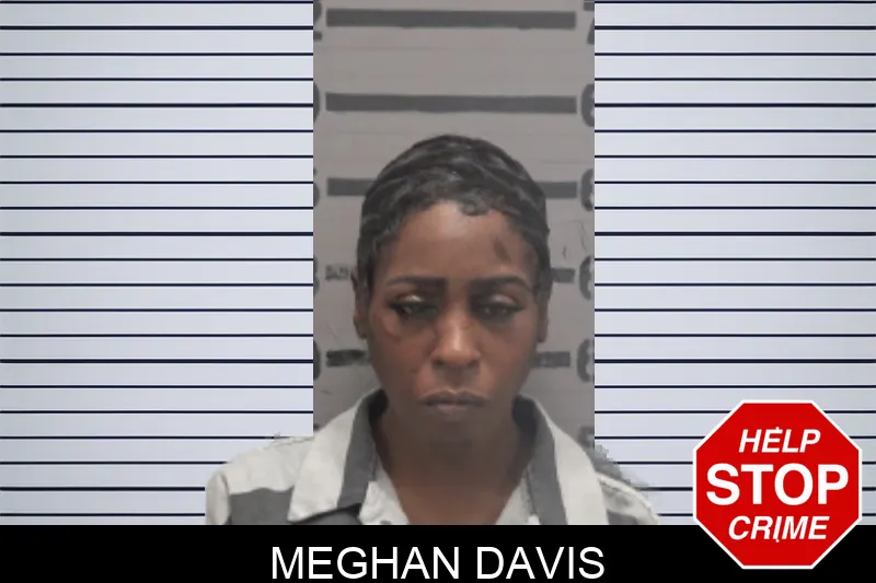 Meghan Davis mugshot