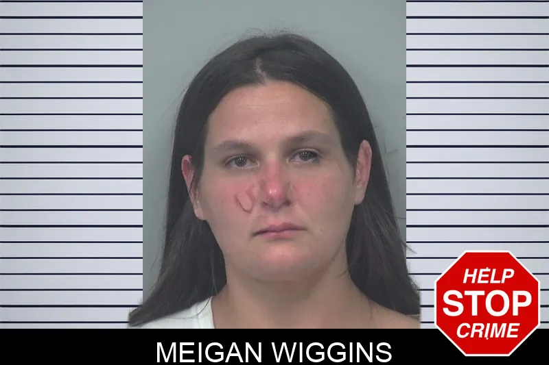 Meigan Wiggins mugshot