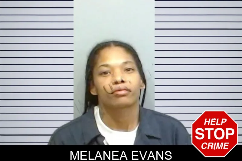 Melanea Evans mugshot – Fulton County , Georgia Melanea Evans mugshot