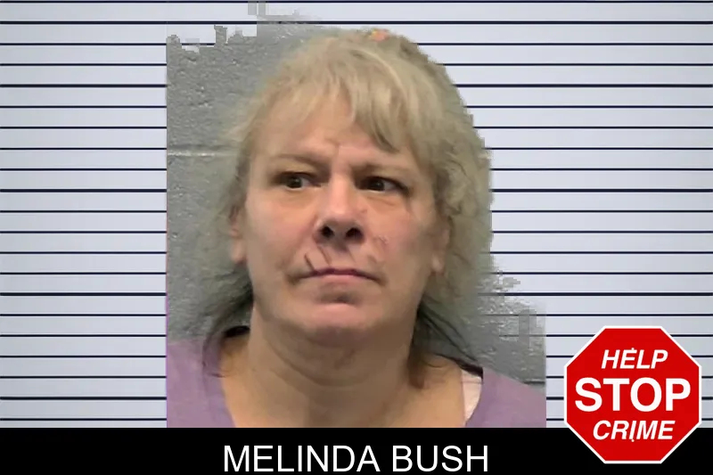 Melinda Bush mugshot – Ware County , Georgia Melinda Bush mugshot