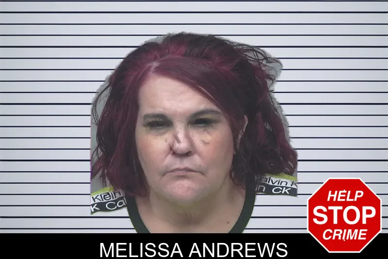 Melissa Andrews mugshot