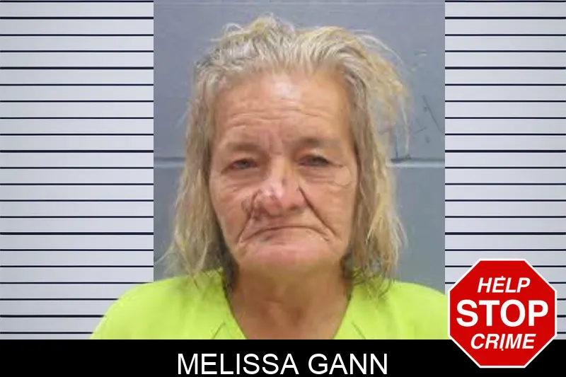 Melissa Gann mugshot – Lee County , Georgia Melissa Gann mugshot