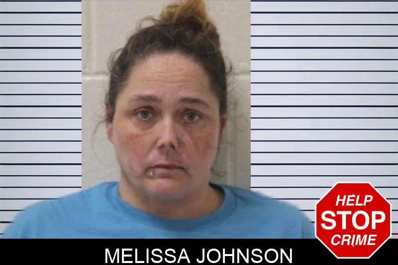 Melissa Johnson mugshot – Jones County , Georgia Melissa Johnson mugshot