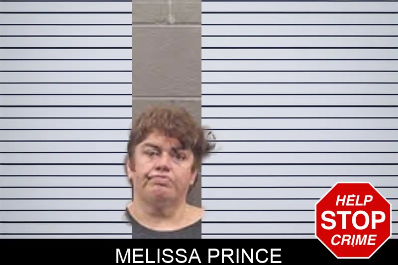 Melissa Prince mugshot
