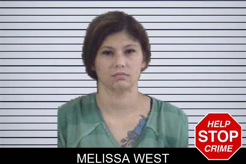 Melissa West mugshot – Whitfield County , Georgia Melissa West mugshot