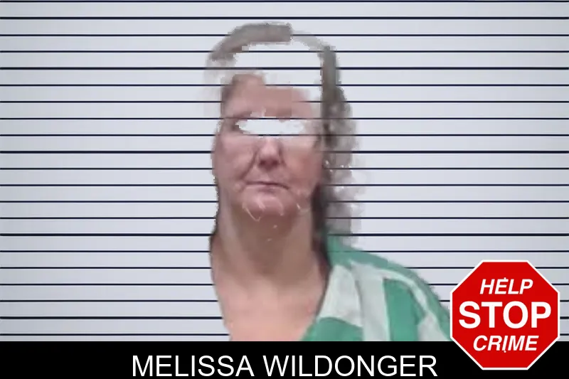 Melissa Wildonger mugshot