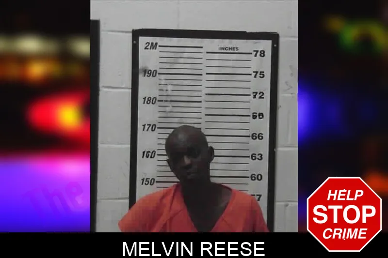 Melvin Reese mugshot – Meriwether County , Georgia Melvin Reese mugshot