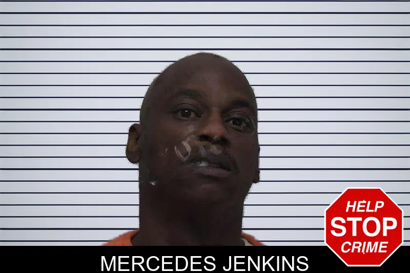 Mercedes Jenkins mugshot – Laurens County , Georgia Mercedes Jenkins mugshot