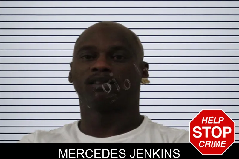 Mercedes Jenkins mugshot