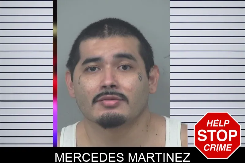 Mercedes Martinez mugshot