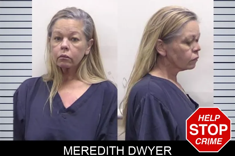 Meredith Dwyer mugshot