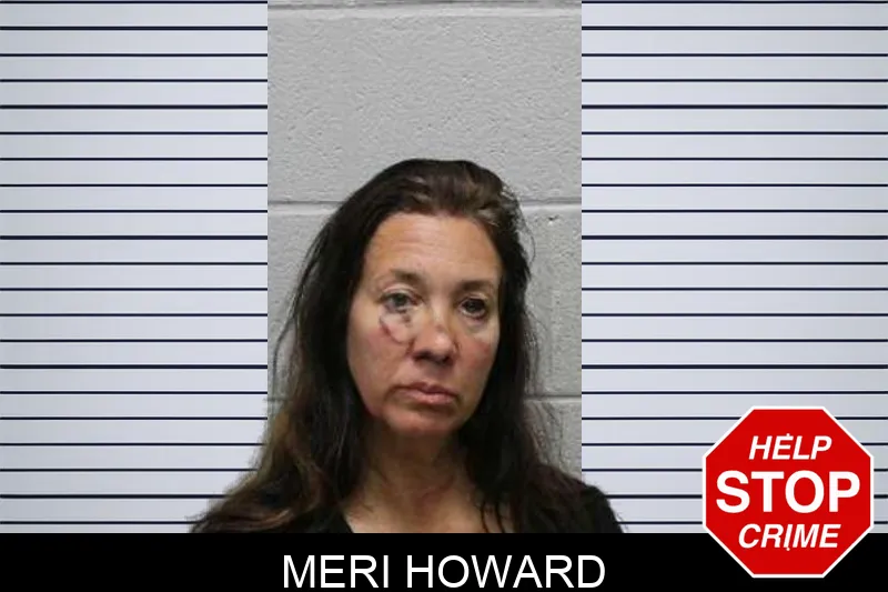 Meri Howard mugshot
