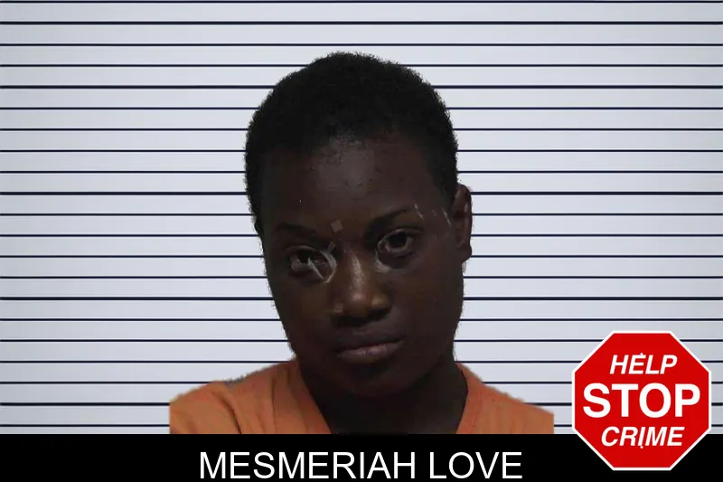 Mesmeriah Love mugshot – Laurens County , Georgia Mesmeriah Love mugshot