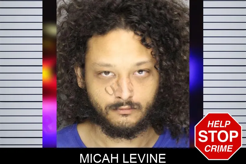 Micah Levine mugshot – Cobb County , Georgia Micah Levine mugshot