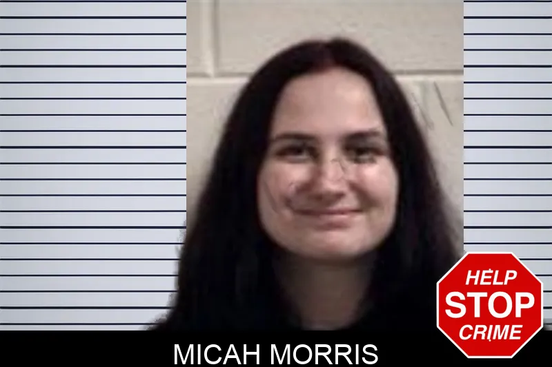 Micah Morris mugshot – Henry County , Georgia Micah Morris mugshot