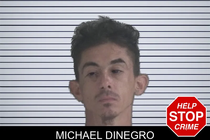 Michael Dinegro mugshot – Brantley County , Georgia Michael Dinegro mugshot